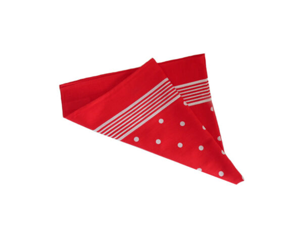 Red Polkadot Snuff Handkerchief
